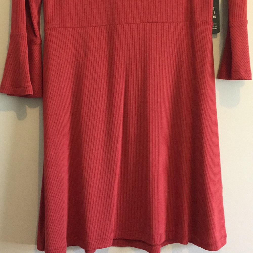 Express Dress - Picture 3 of 4